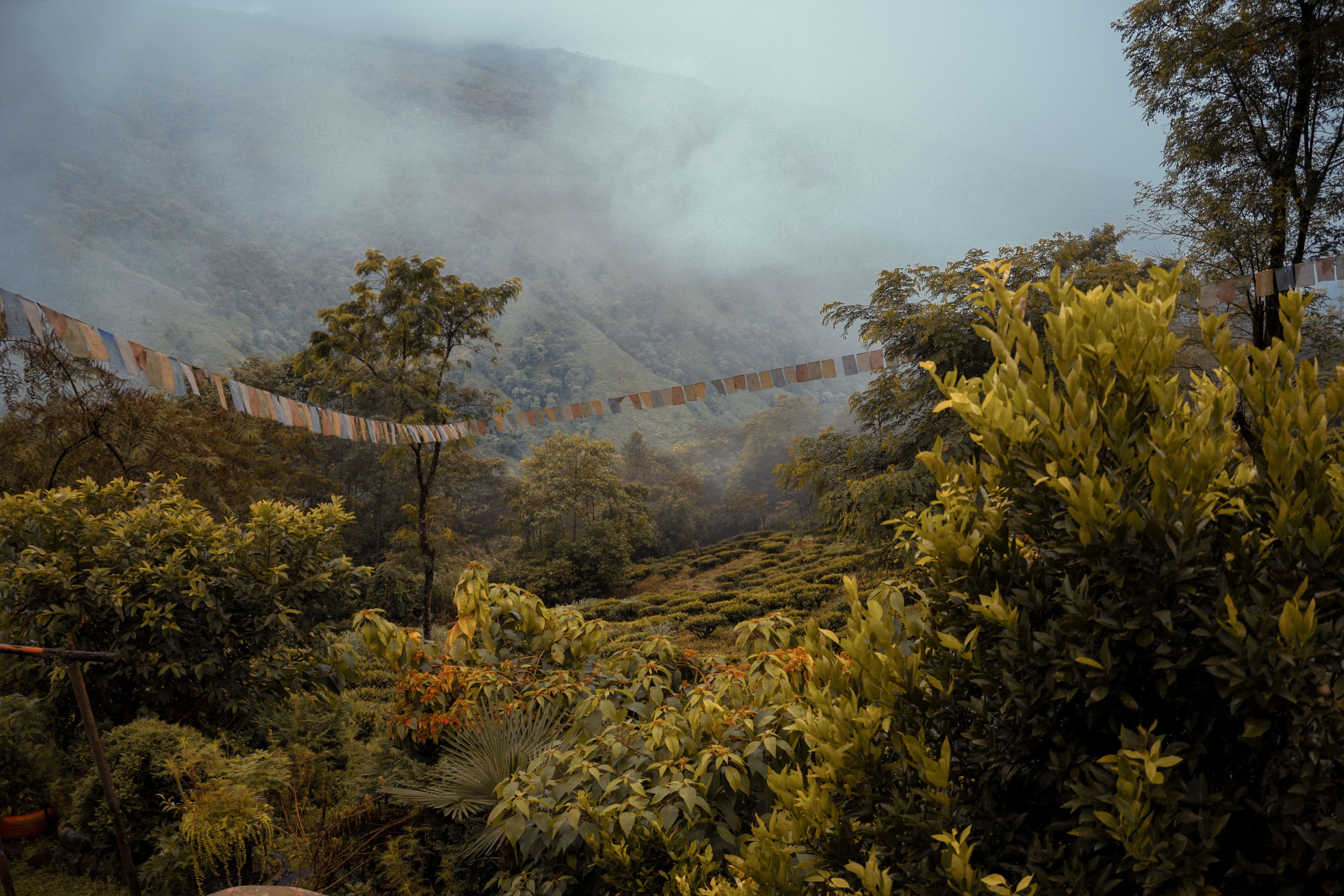 Darjeeling